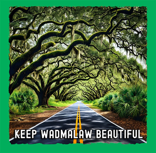 Keep Wadmalaw Beautiful - Scenic Road and Live Oak Trees